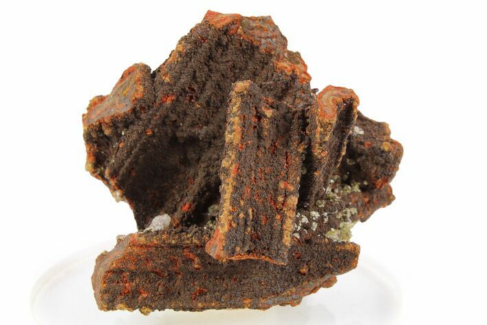 Limonite Cast Pseudomorph - Ojuela Mine, Mexico #256548